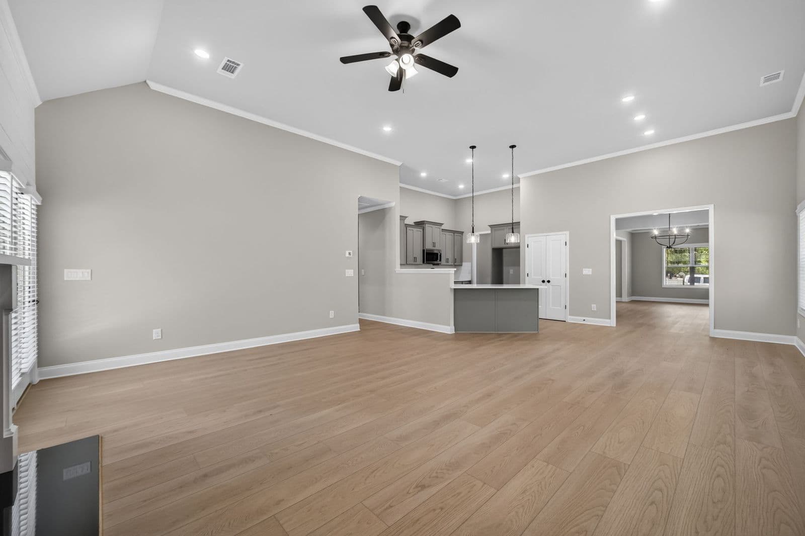 Family room and kitchen