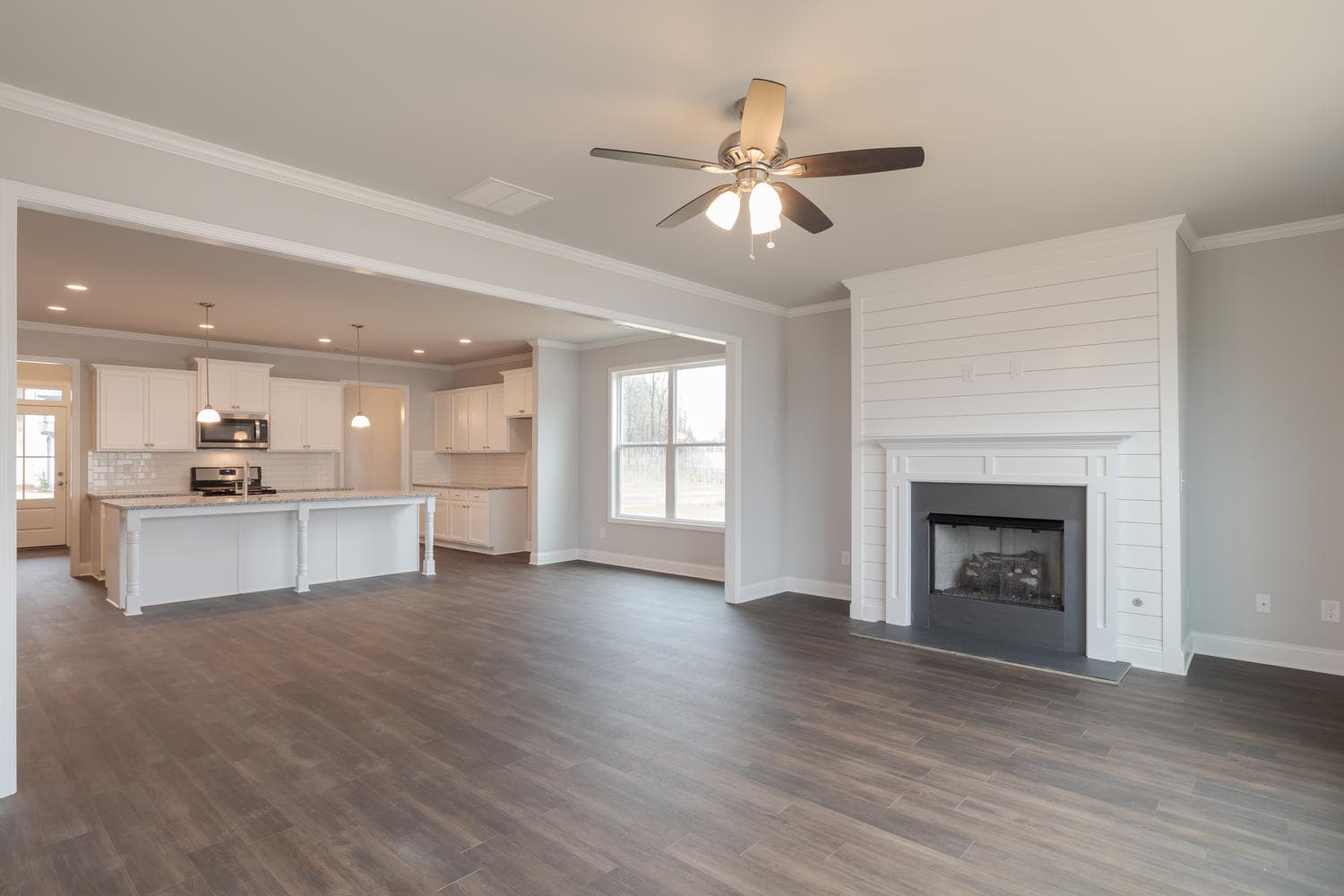 Living room and kitchen