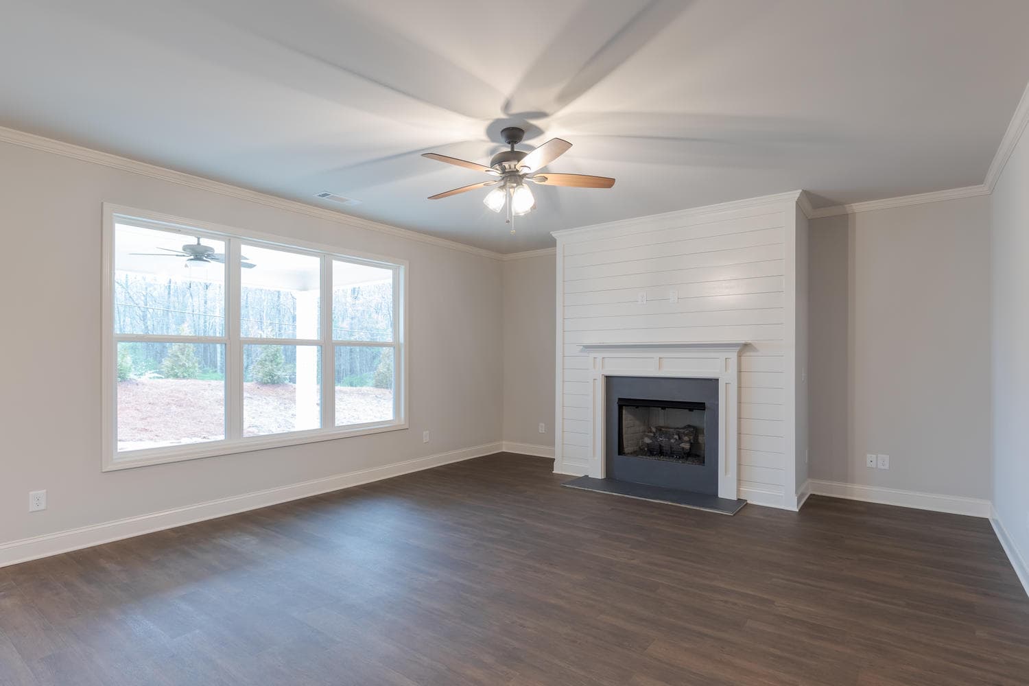 Living room and fireplace