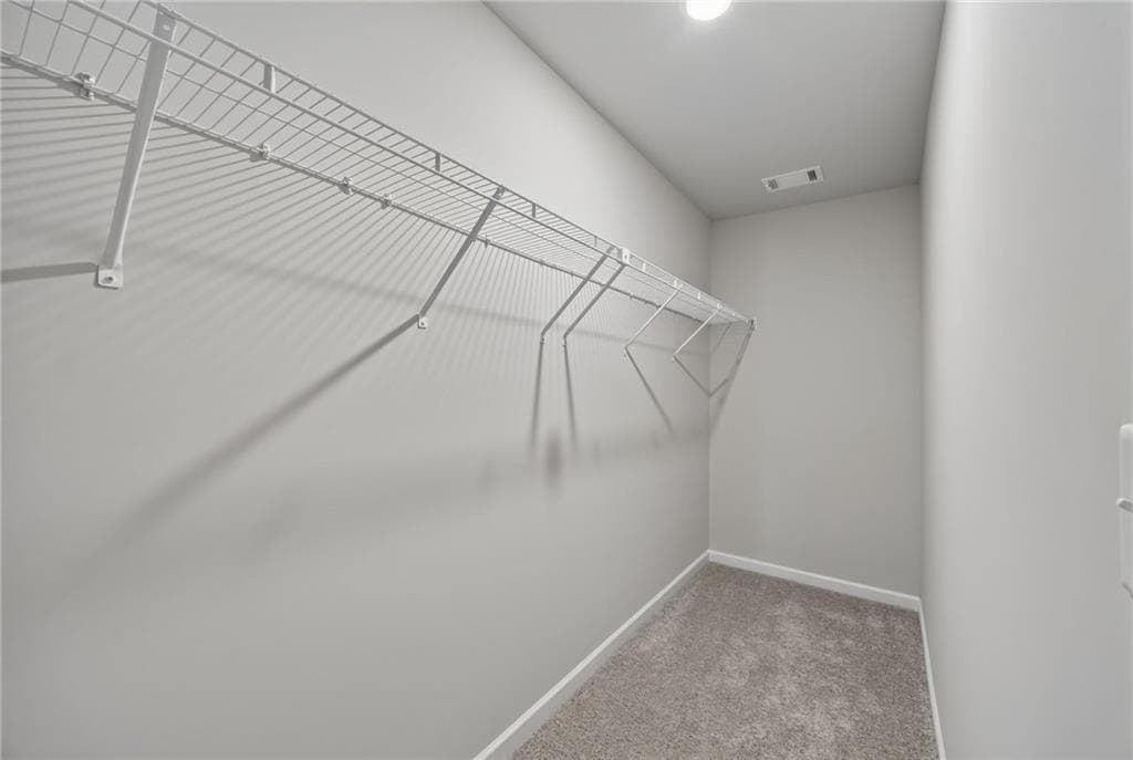 2716 Thomas View Trail — photo 47