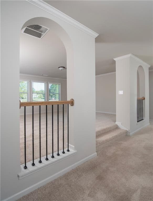 904 Bessie Court — photo 11