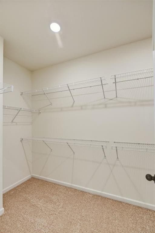 8250 Crooked Creek Drive — photo 50